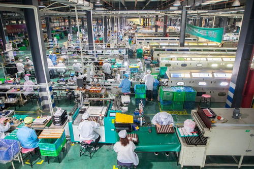 复工先行者丨从云端再出发，软件开发逆势突围