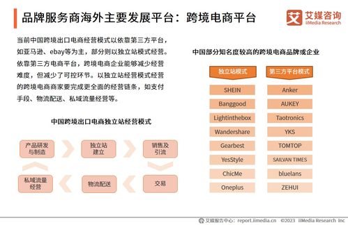 2023年中国品牌电商服务行业研究报告 信息技术咨询服务深度解析